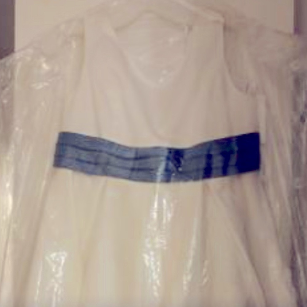 Flower girl dress/David's bridal